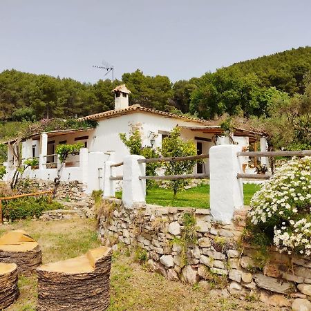 Villa Huerta Nacimiento Montecorto Zewnętrze zdjęcie