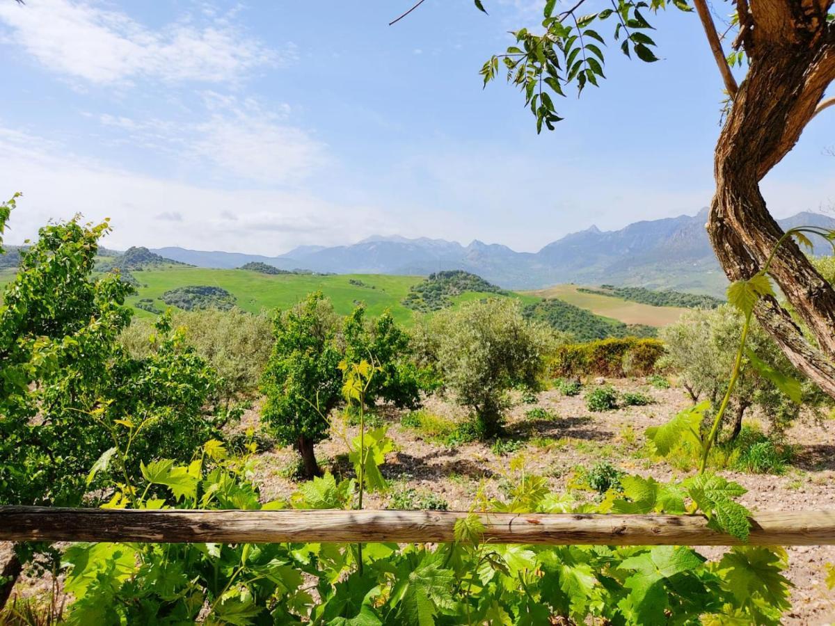 Villa Huerta Nacimiento Montecorto Zewnętrze zdjęcie
